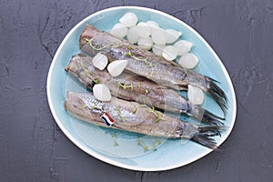 Herring fillets with onions on a blue plate, a traditional Dutch delicacy. Delicious seafood meal. Copy space. flat lay.