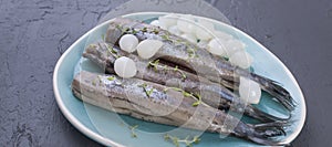 Herring fillets with onions on a blue plate, a traditional Dutch delicacy. Delicious seafood meal. Copy space. flat lay. Long