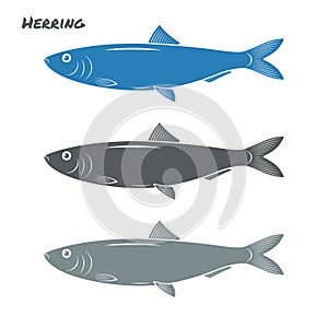 Herring fish vector illustration