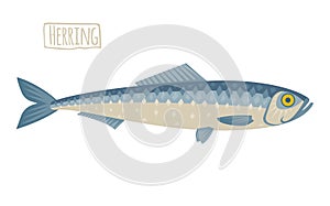 Herring illustration, flat, cartoon style