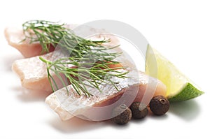 Herring with lime and dill