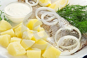 Herring and potatoes, onions, lemon, fennel