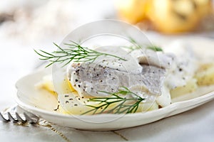 Herring salad for Christmas