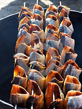 Herring smoking