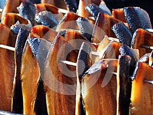 Herring smoking