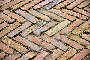 Herringbone Pattern Brick Pathway