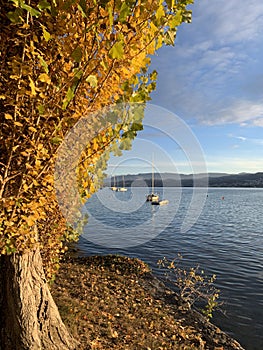 Herrliberg, Switzerland - in fall or autumn