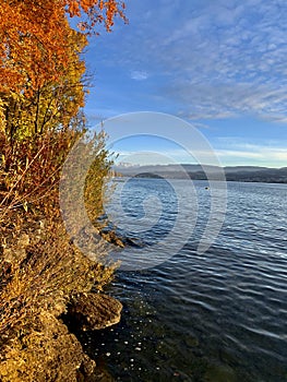 Herrliberg, Switzerland - in fall or autumn