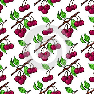 Cherry branch, red cherry and green leaves. Seamless pattern. Vector illustration