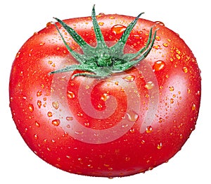 Ð¡herry tomato with water drops. White background.