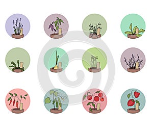 Hers and vegetables. Set of round icons