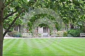 Hertford College Old Quad with english lawn & decorative trees, Oxford, United Kingdom