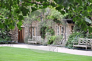 Hertford College Old Quad with english lawn & decorative trees, Oxford, United Kingdom