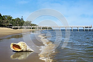 Hervey Bay Queensland Australia photo
