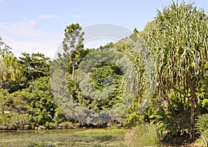 Hervey bay Botanical Garden