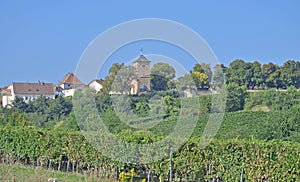 Herxheim am Berg,german Wine Route,Palatinate