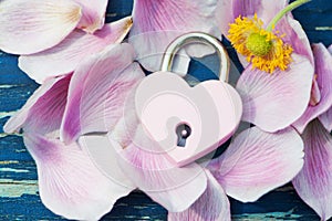 Pink heart padlock with petals on wooden backrgound