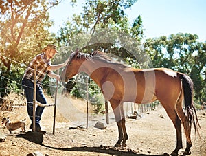Hes one of my pets and also my ride. a farmer standing with his horse.