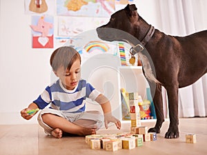 Hes the perfect playmate. A young boy playing with building blocks in his room while his dog stands by.