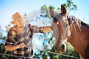 Hes well taken care of. a farmer standing with his horse.