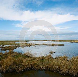 Hesketh Marsh Nature Reserve Lancashire England