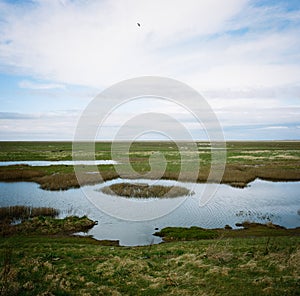 Hesketh Marsh Nature Reserve Lancashire England