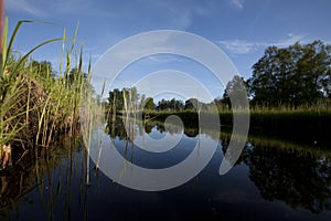 Het Hol, Nederland / Netherlands