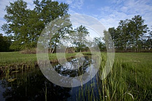 Het Hol, Nederland / Netherlands