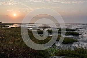 Het Oerd, Ameland wadden island Holland the Netherlands