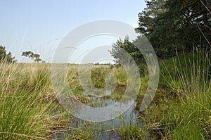 Het Plateaux, Nederland / Netherlands