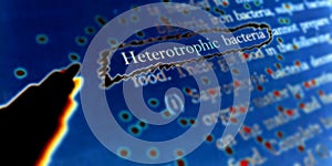 heterotrophic bacteria text written on illustrations design photo