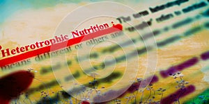 heterotrophic nutrition biological terminology presented on red colour letters on abstract background photo