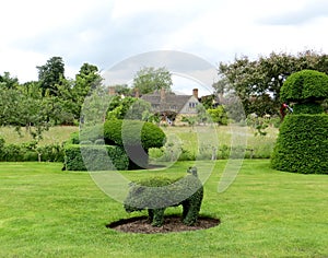 Hever Castle, UK, topiary garden, curly haircut of garden bushes, bush in the shape of a pig