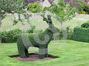 Hever Castle, UK, topiary garden, curly haircut of garden bushes, bush in the shape of a deer