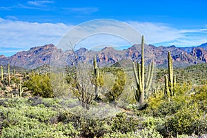 Hewitt Canyon photo