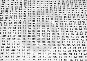 Hex code on computer screen closeup. Random hexadecimal code stream. Concept of hacking, internet security, malware and reverse en