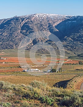 Hex River Valley in South Africa