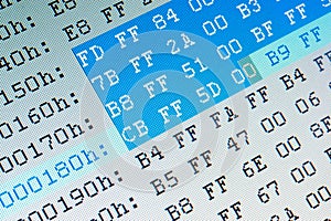 Hexadecimal data