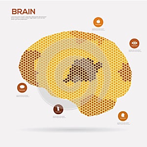 Hexagon brain hive. Infographics.