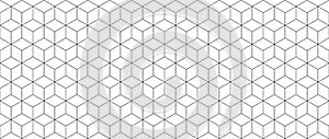 Hexagon geometric seamless pattern. Cube background.Seamless grid texture. Abstract graphic lines in cube shape. Design art for