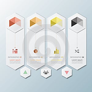 Hexagon Geometric Shape Business Infographic