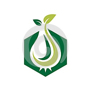Hexagon Green Grow Sprout Agricultural Logo Icon photo