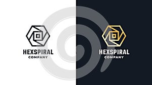 Hexagon Logotype template, positive and negative variant, corporate identity for brands, exclusive product logo
