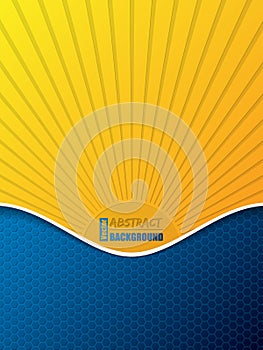 Hexagon pattern business brochure with bursting sun silhouette