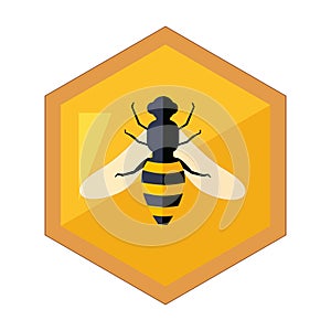 Hexagon Shape Honeycomb With Bee Insect In Center Cartoon Illustration