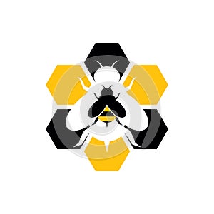 Hexagon Sweet Honey Bee Hive Logo Icon