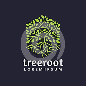 Hexagon tree root logo icon