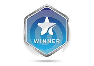 Hexagonal badge with a silver border and a blue gradient background.