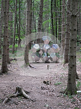 Hexagonal glass sculpture in the middle of forest