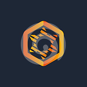 Hexagonal Logo Template Illustration Design. Vector EPS 10